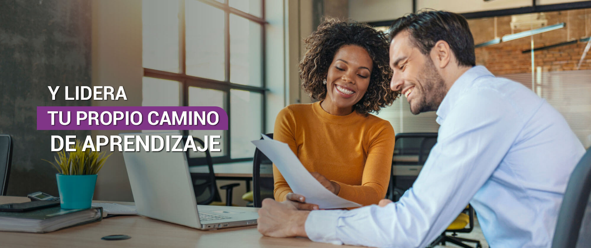 Banner Web NFC Nuevo